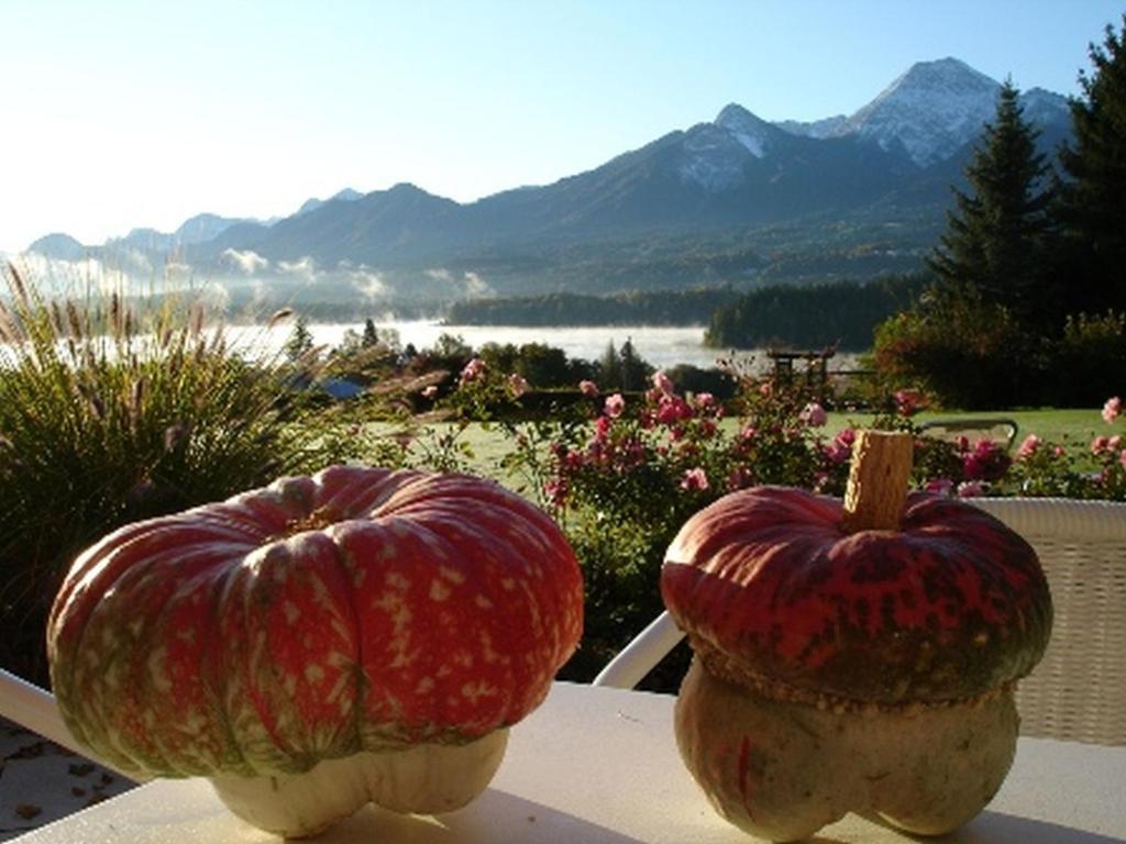 Hotel Schoenruh Drobollach am Faakersee Dış mekan fotoğraf